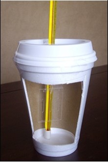 Styrofoam cup containg the LT microfluidic device and a thermometer