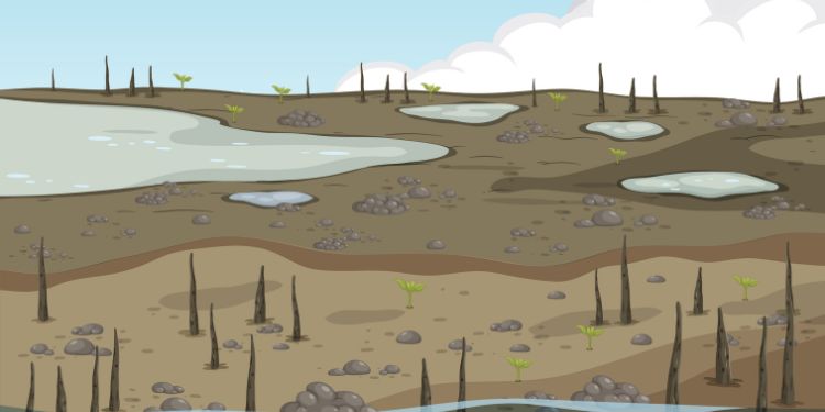 Journal of Water - Wetland encroachment
