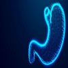 Journal of Pancreas - cancer